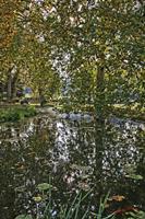 Cjp_2009_10_29_150712 (1)_HDR-D2.jpg